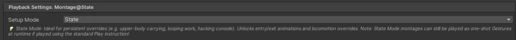 State mode selected in the Montage playback settings