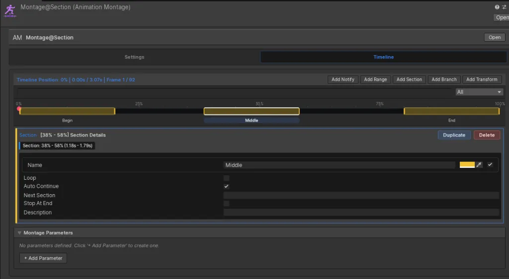 Three Montage Sections with the Middle section selected